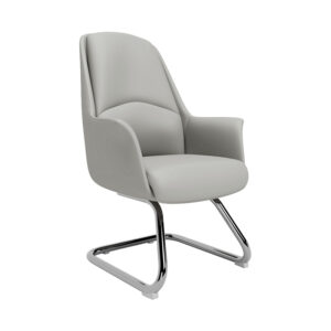 Conference Chairs