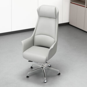 Conference Chairs