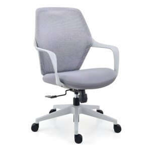 HS-DHX-301BG